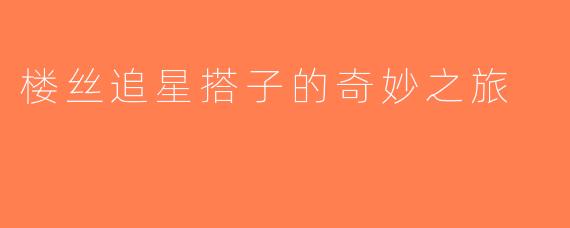 楼丝追星搭子的奇妙之旅