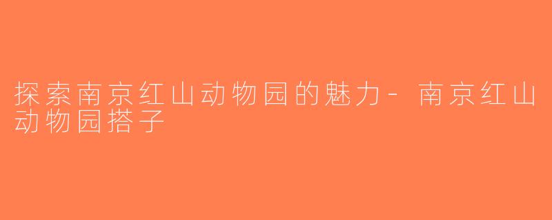 探索南京红山动物园的魅力-南京红山动物园搭子