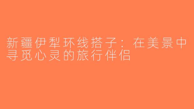 新疆伊犁环线搭子：在美景中寻觅心灵的旅行伴侣
