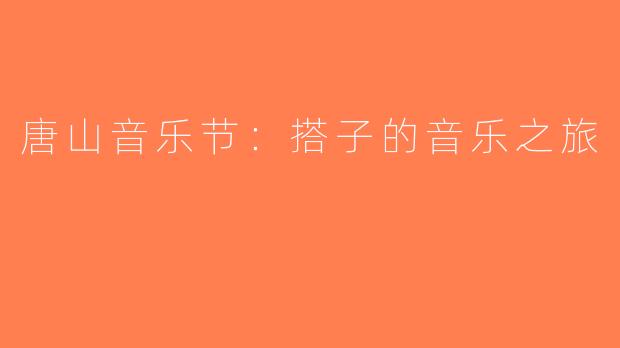 唐山音乐节：搭子的音乐之旅