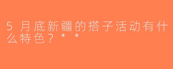 5月底新疆的搭子活动有什么特色？**