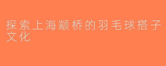探索上海颛桥的羽毛球搭子文化
