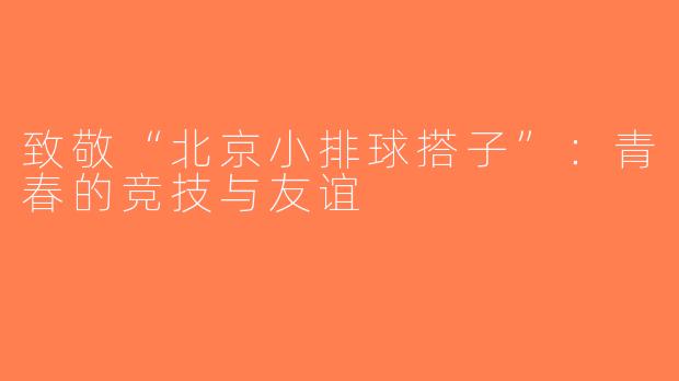 致敬“北京小排球搭子”：青春的竞技与友谊