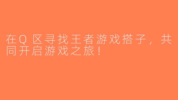在Q区寻找王者游戏搭子，共同开启游戏之旅！