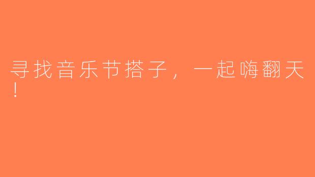 寻找音乐节搭子，一起嗨翻天！