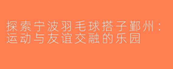 探索宁波羽毛球搭子鄞州：运动与友谊交融的乐园