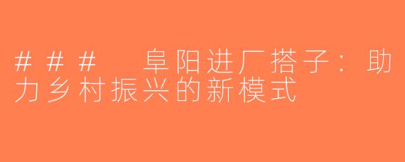 ### 阜阳进厂搭子：助力乡村振兴的新模式