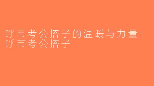 呼市考公搭子的温暖与力量-呼市考公搭子