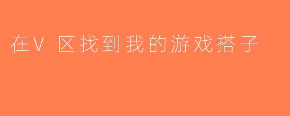 在V区找到我的游戏搭子