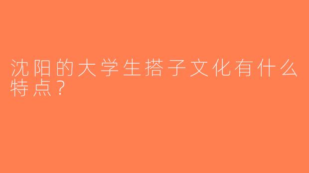 沈阳的大学生搭子文化有什么特点？