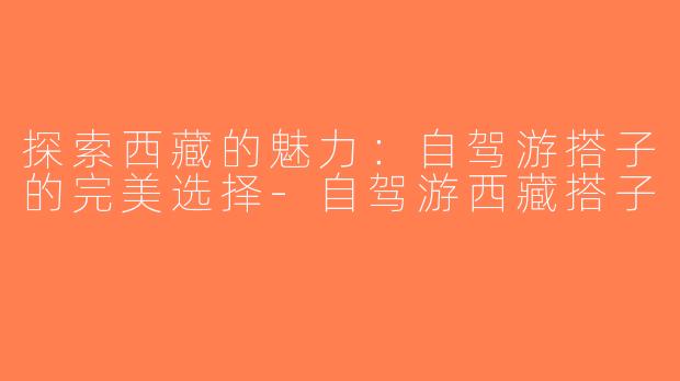 探索西藏的魅力：自驾游搭子的完美选择-自驾游西藏搭子