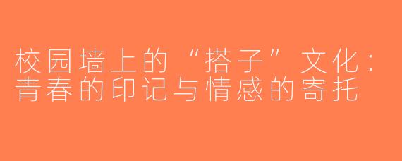 校园墙上的“搭子”文化：青春的印记与情感的寄托