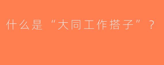 什么是“大同工作搭子”？  