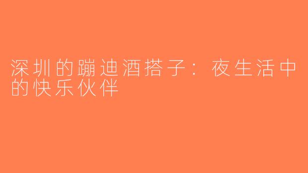 深圳的蹦迪酒搭子：夜生活中的快乐伙伴