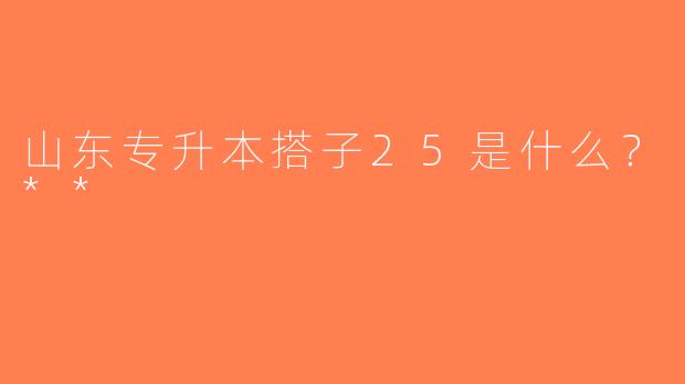 山东专升本搭子25是什么？**