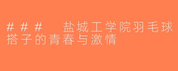 ### 盐城工学院羽毛球搭子的青春与激情