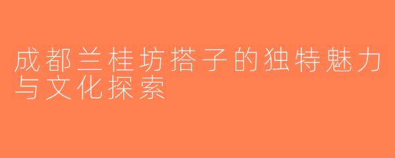 成都兰桂坊搭子的独特魅力与文化探索