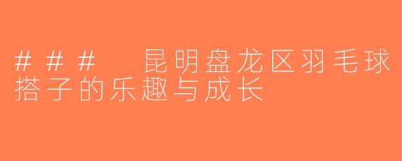 ### 昆明盘龙区羽毛球搭子的乐趣与成长