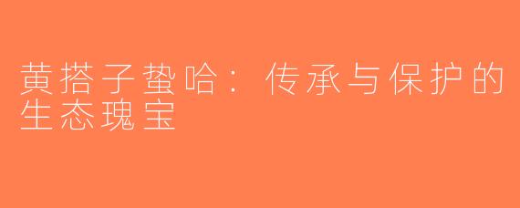 黄搭子蛰哈：传承与保护的生态瑰宝