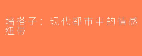 墙搭子：现代都市中的情感纽带