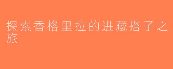 探索香格里拉的进藏搭子之旅