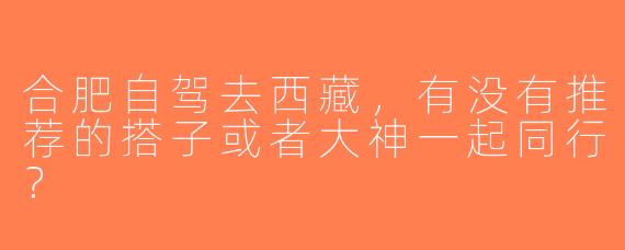 合肥自驾去西藏，有没有推荐的搭子或者大神一起同行？