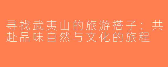寻找武夷山的旅游搭子：共赴品味自然与文化的旅程