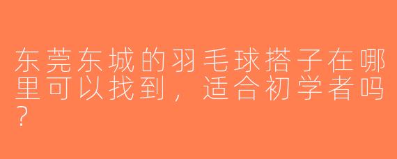 东莞东城的羽毛球搭子在哪里可以找到，适合初学者吗？