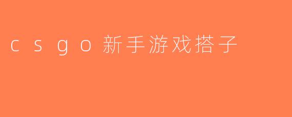 csgo新手游戏搭子