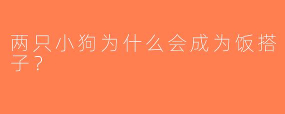 两只小狗为什么会成为饭搭子？