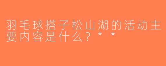 羽毛球搭子松山湖的活动主要内容是什么？**  
