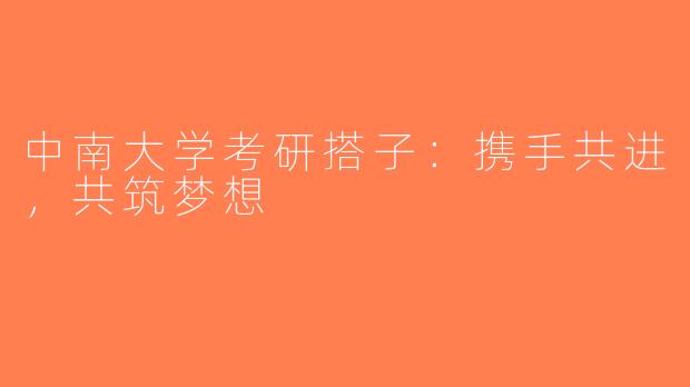 中南大学考研搭子：携手共进，共筑梦想