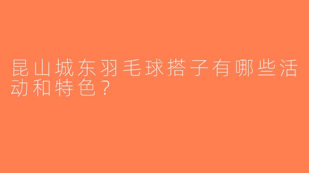 昆山城东羽毛球搭子有哪些活动和特色？