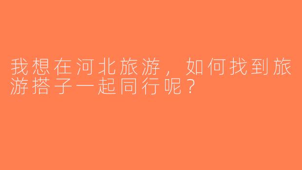我想在河北旅游，如何找到旅游搭子一起同行呢？