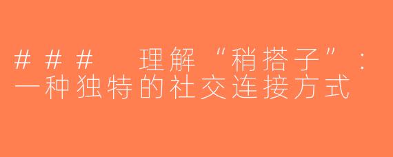 ### 理解“稍搭子”：一种独特的社交连接方式