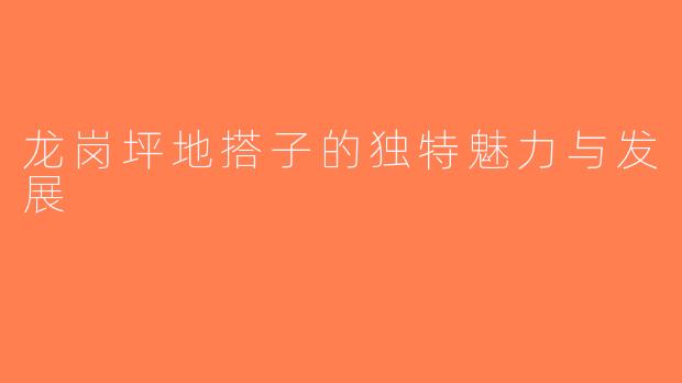 龙岗坪地搭子的独特魅力与发展