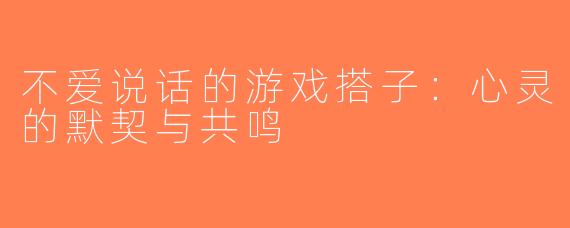 不爱说话的游戏搭子：心灵的默契与共鸣