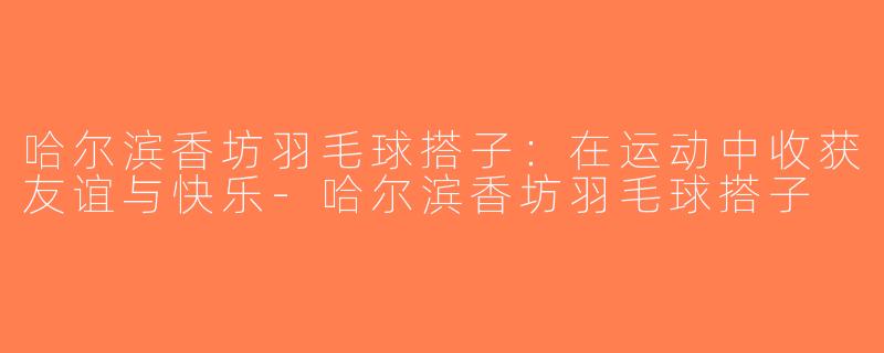 哈尔滨香坊羽毛球搭子：在运动中收获友谊与快乐-哈尔滨香坊羽毛球搭子
