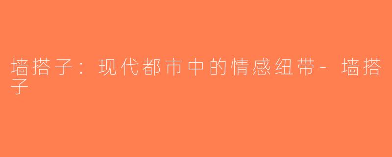 墙搭子：现代都市中的情感纽带-墙搭子