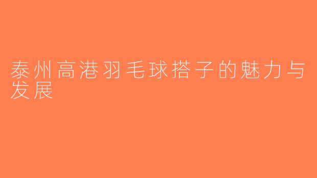 泰州高港羽毛球搭子的魅力与发展