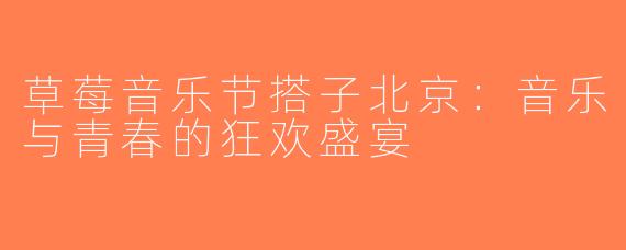 草莓音乐节搭子北京：音乐与青春的狂欢盛宴