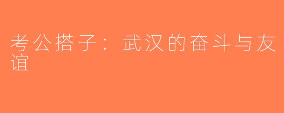 考公搭子：武汉的奋斗与友谊