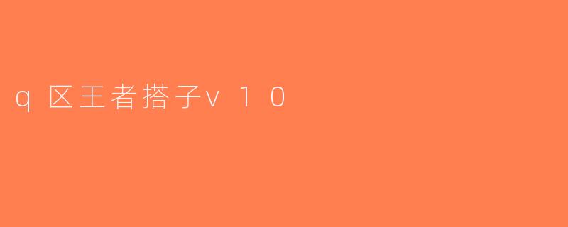 q区王者搭子v10
