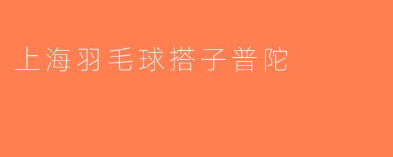 上海羽毛球搭子普陀