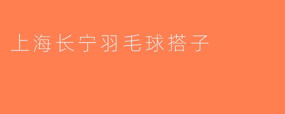 上海长宁羽毛球搭子