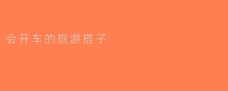 会开车的旅游搭子