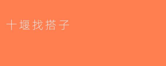 十堰找搭子