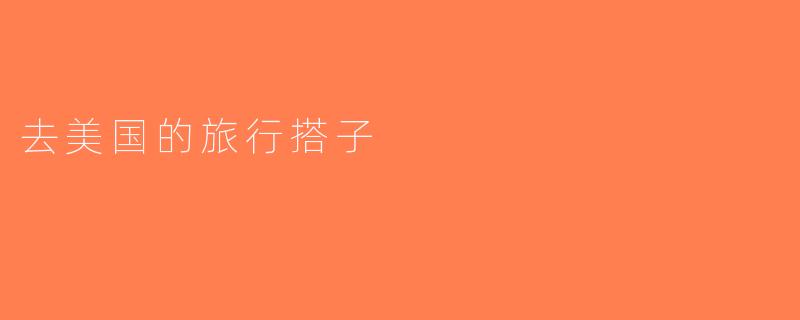 去美国的旅行搭子