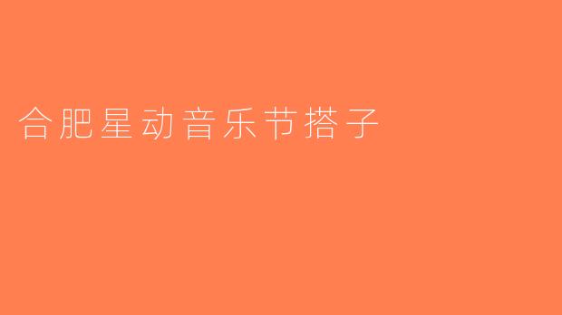 合肥星动音乐节搭子