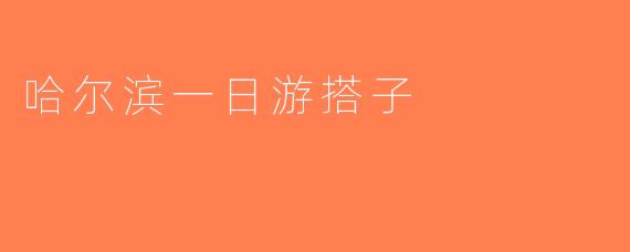 哈尔滨一日游搭子
